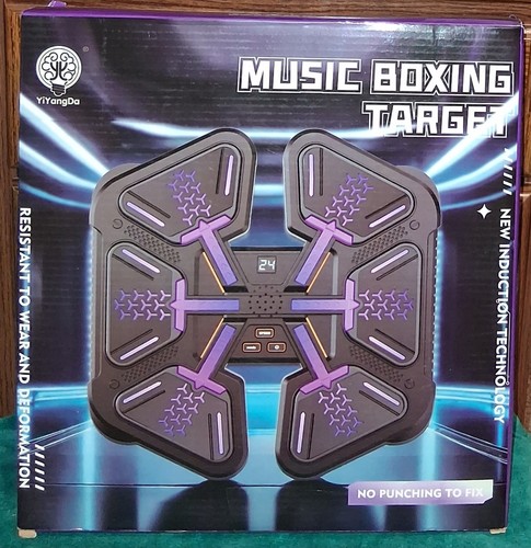 2025 smart music boxing - smart,